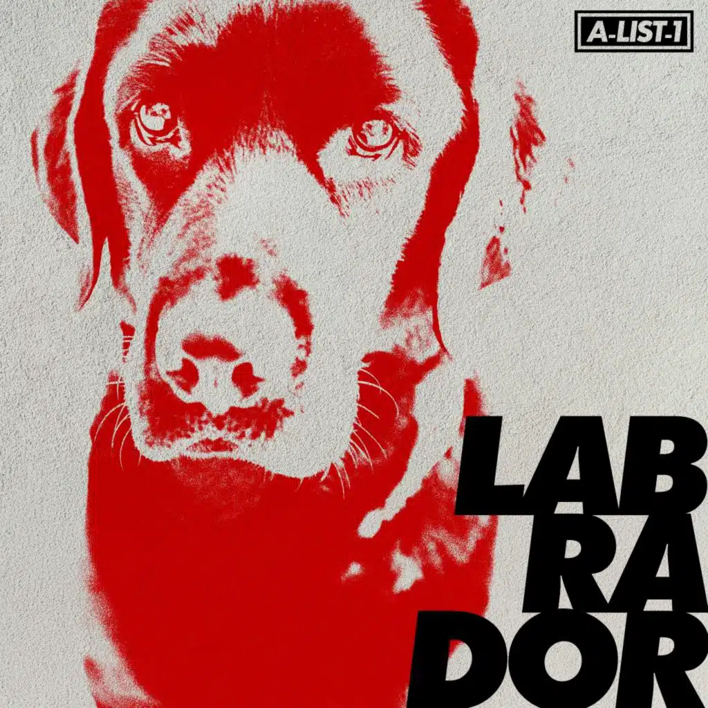 Labrador