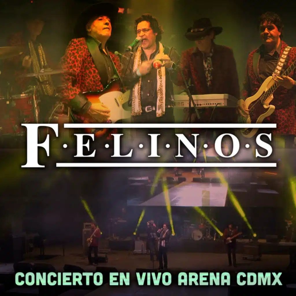 Felinos Concierto (En Vivo Arena CDMX)