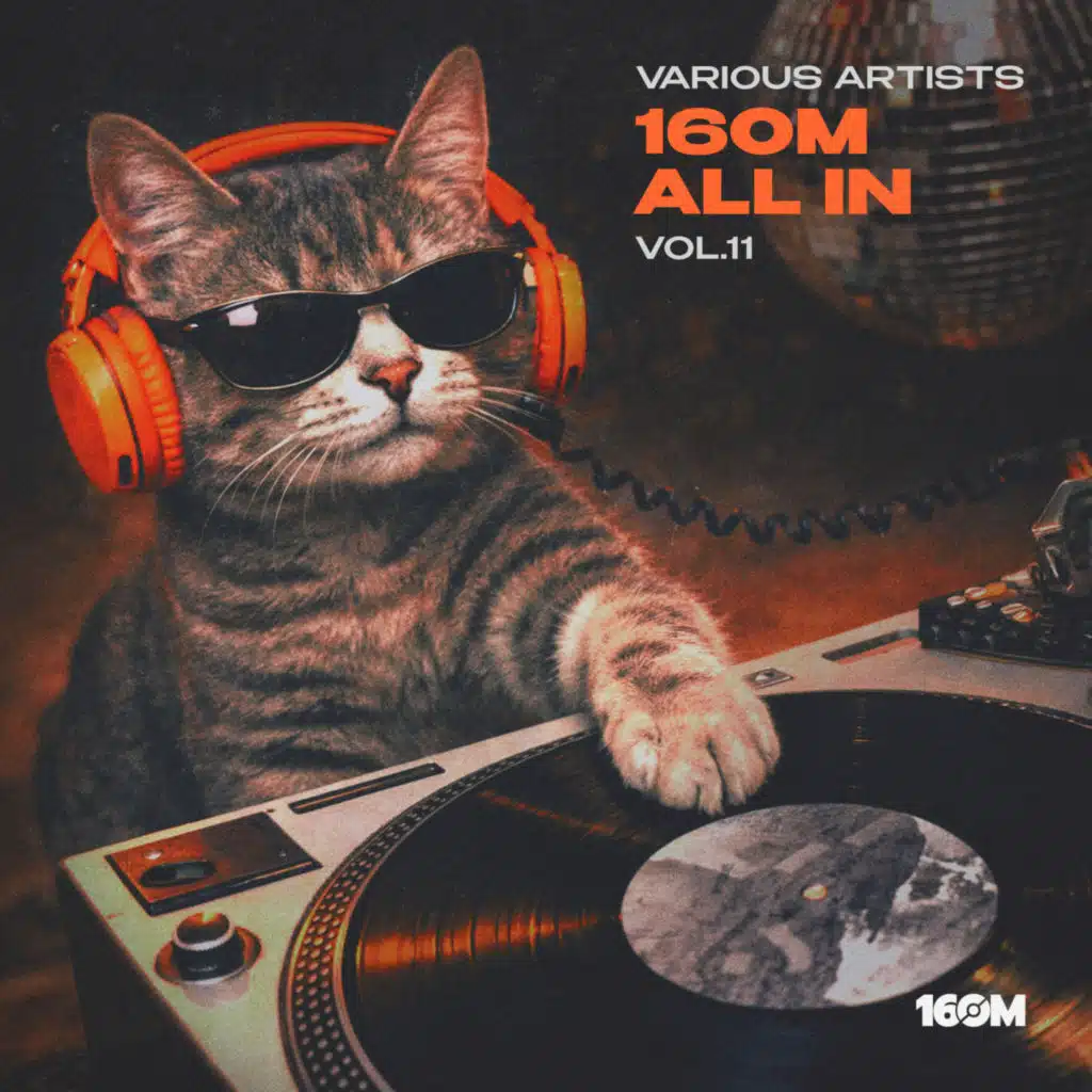 16om All In, Vol.11