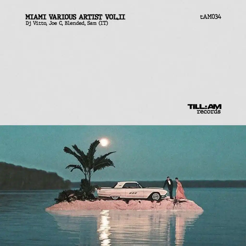 Miami Various Artist Vol.II