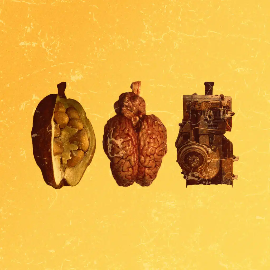 Partes Substituíves