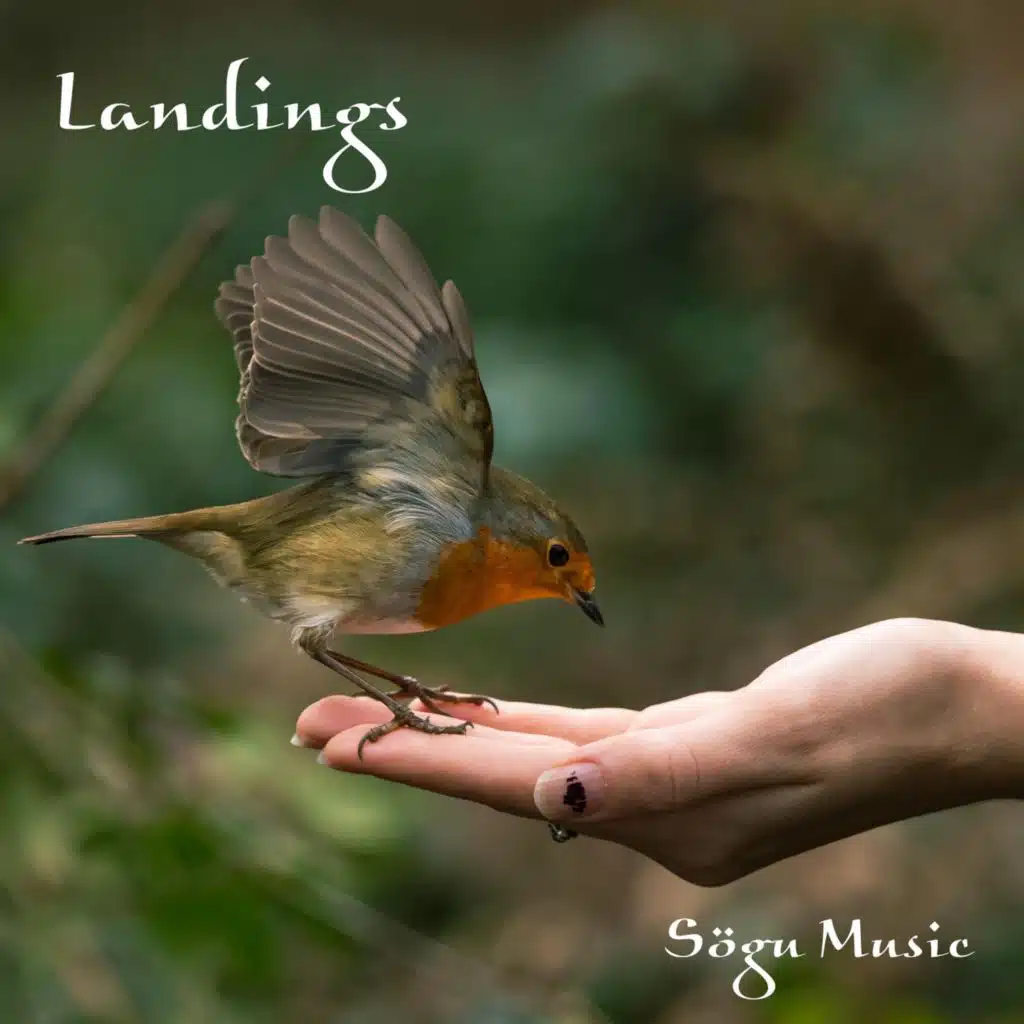 SöGu Music