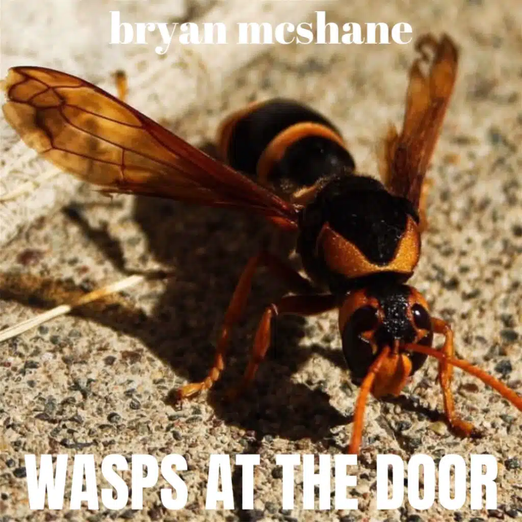 Wasps at the Door