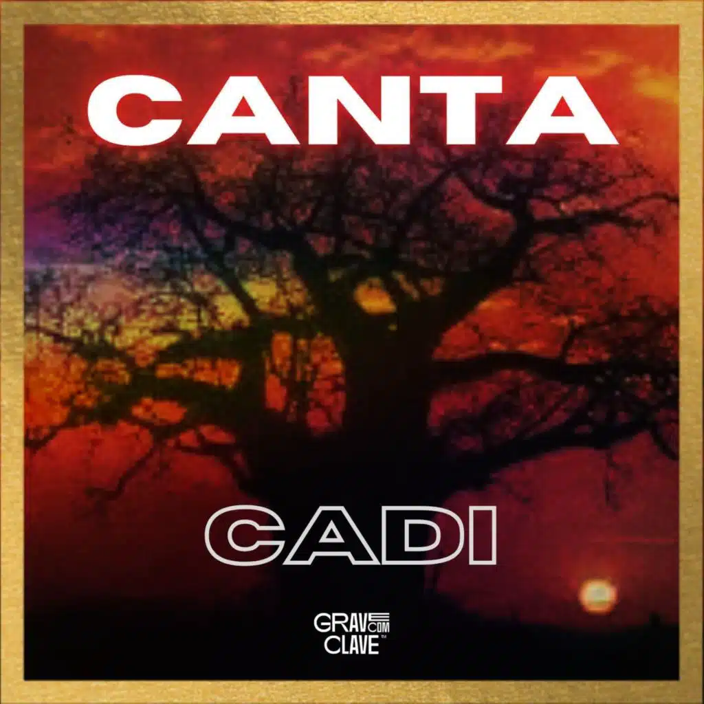Čadi