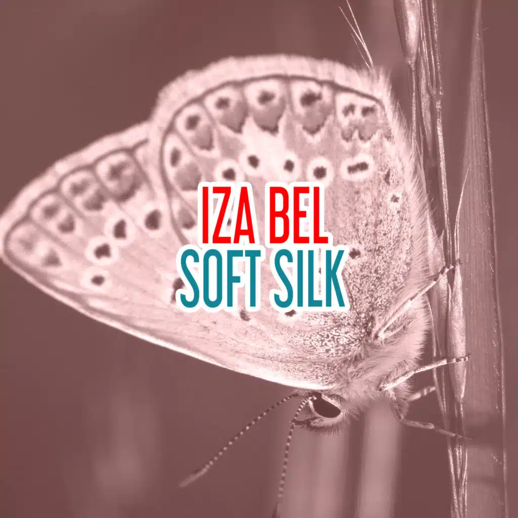 Soft Silk