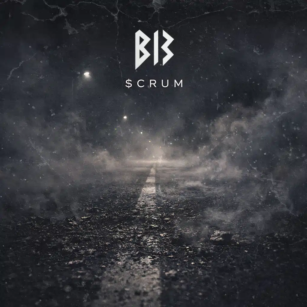 B13