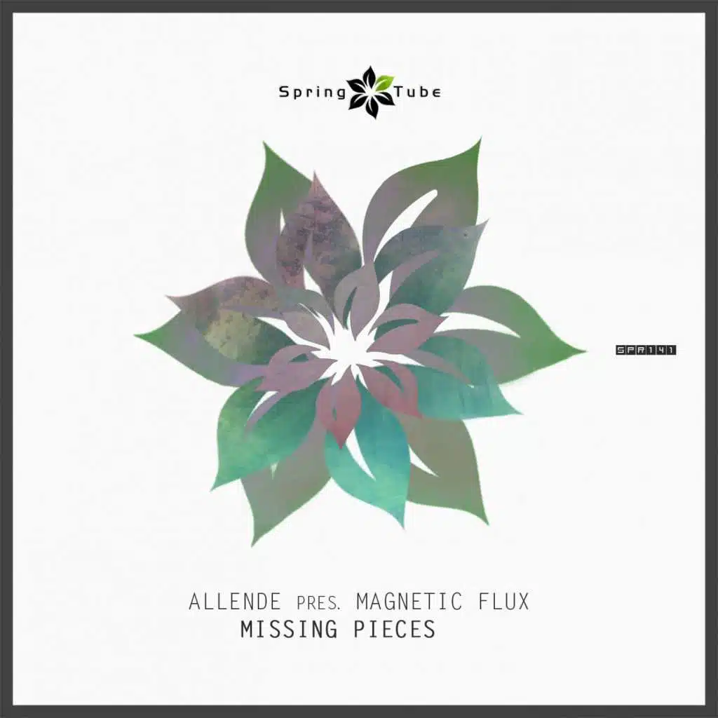 Allende and Magnetic Flux