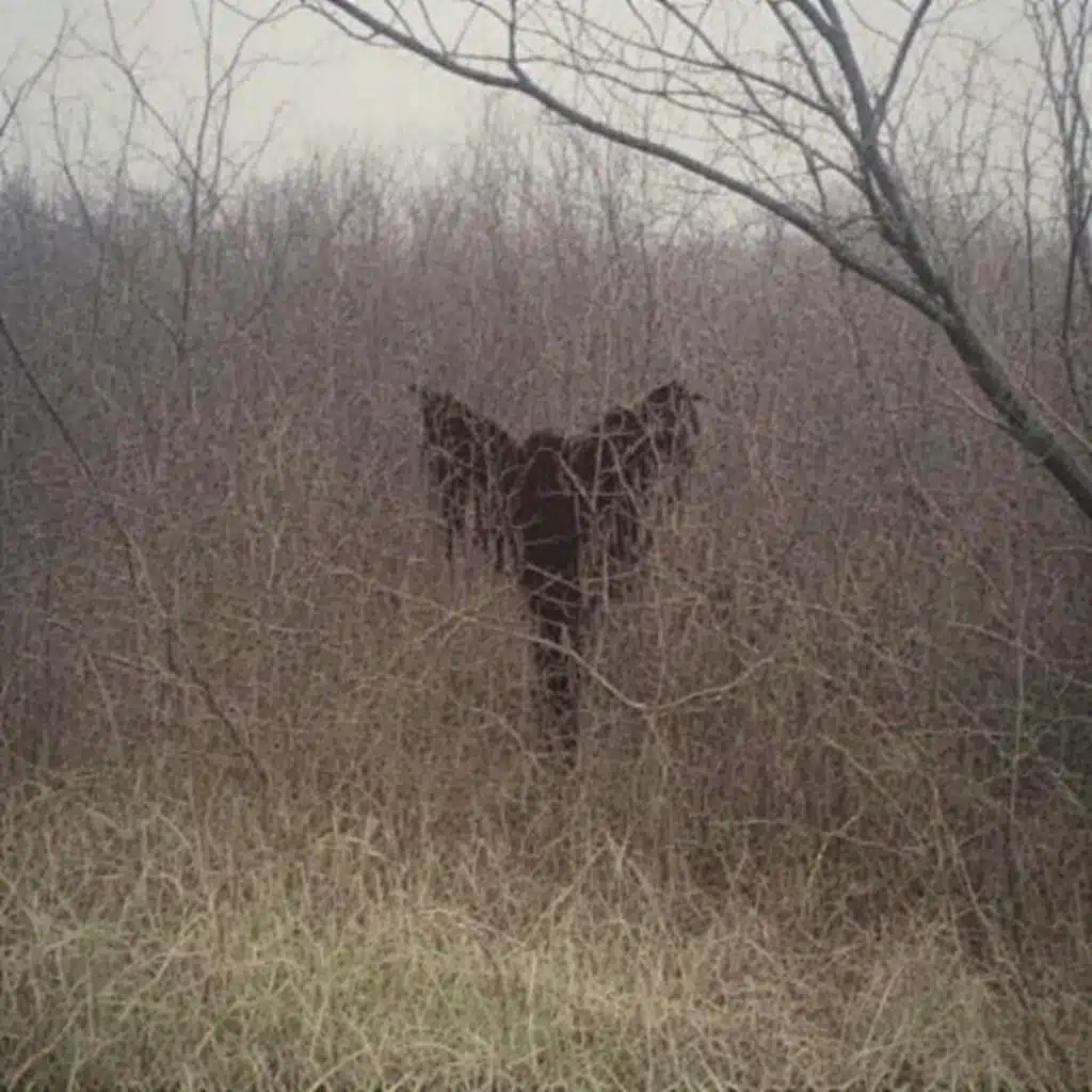 Memories of What Will Be