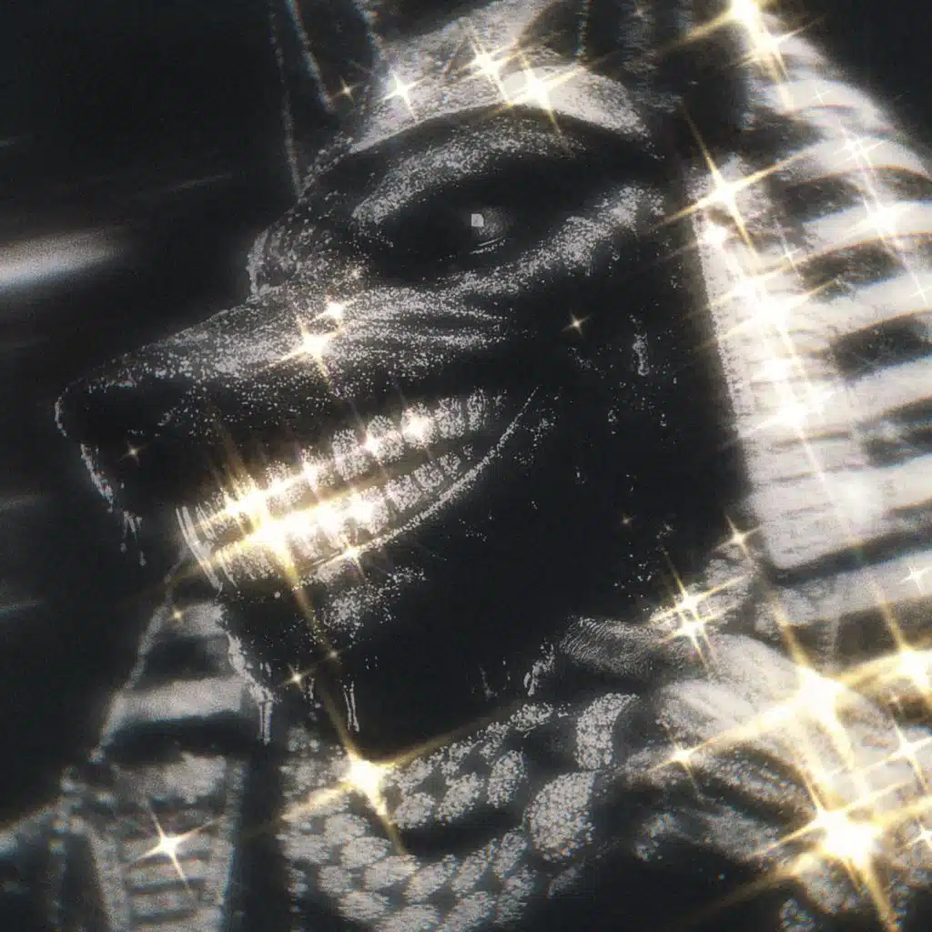 I TOOK THE ICE TO EGYPT