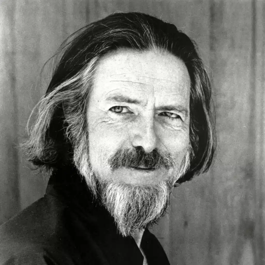 You Have to Stop Thinking to Find Out What Life Is About - Alan Watts