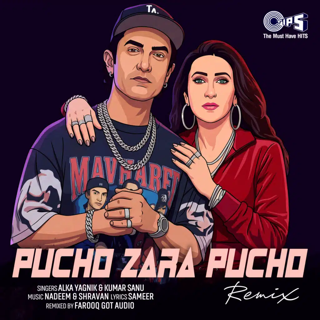 Pucho Zara Pucho (Remix) [feat. Farooq Got Audio]