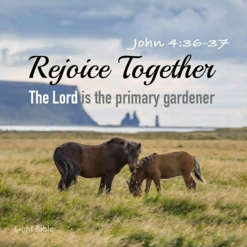 RALF FRIEDRICHS PODCAST