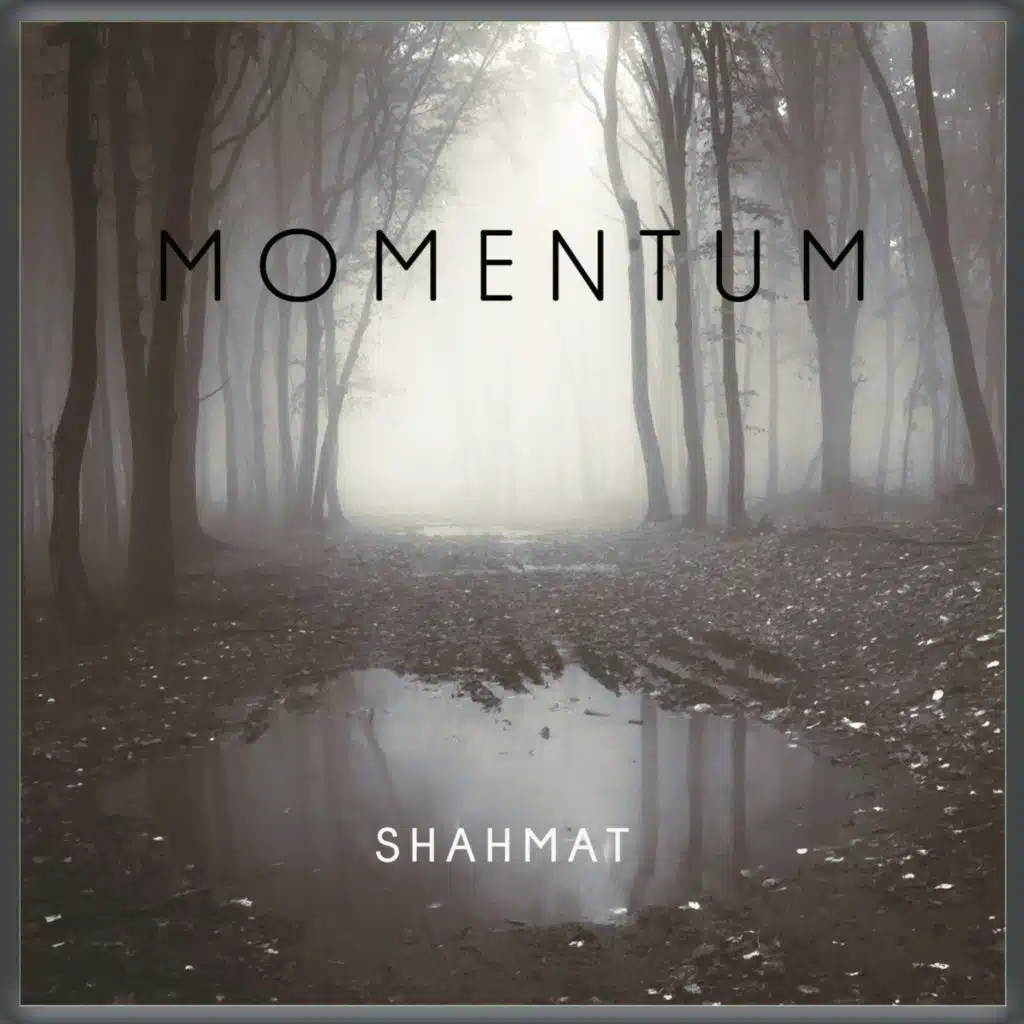 Momentum