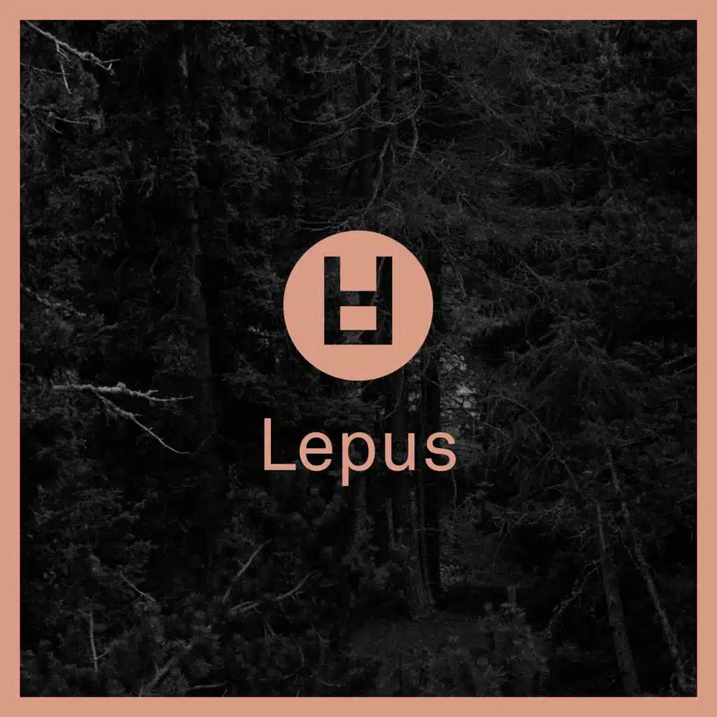 Lepus Pt. 1