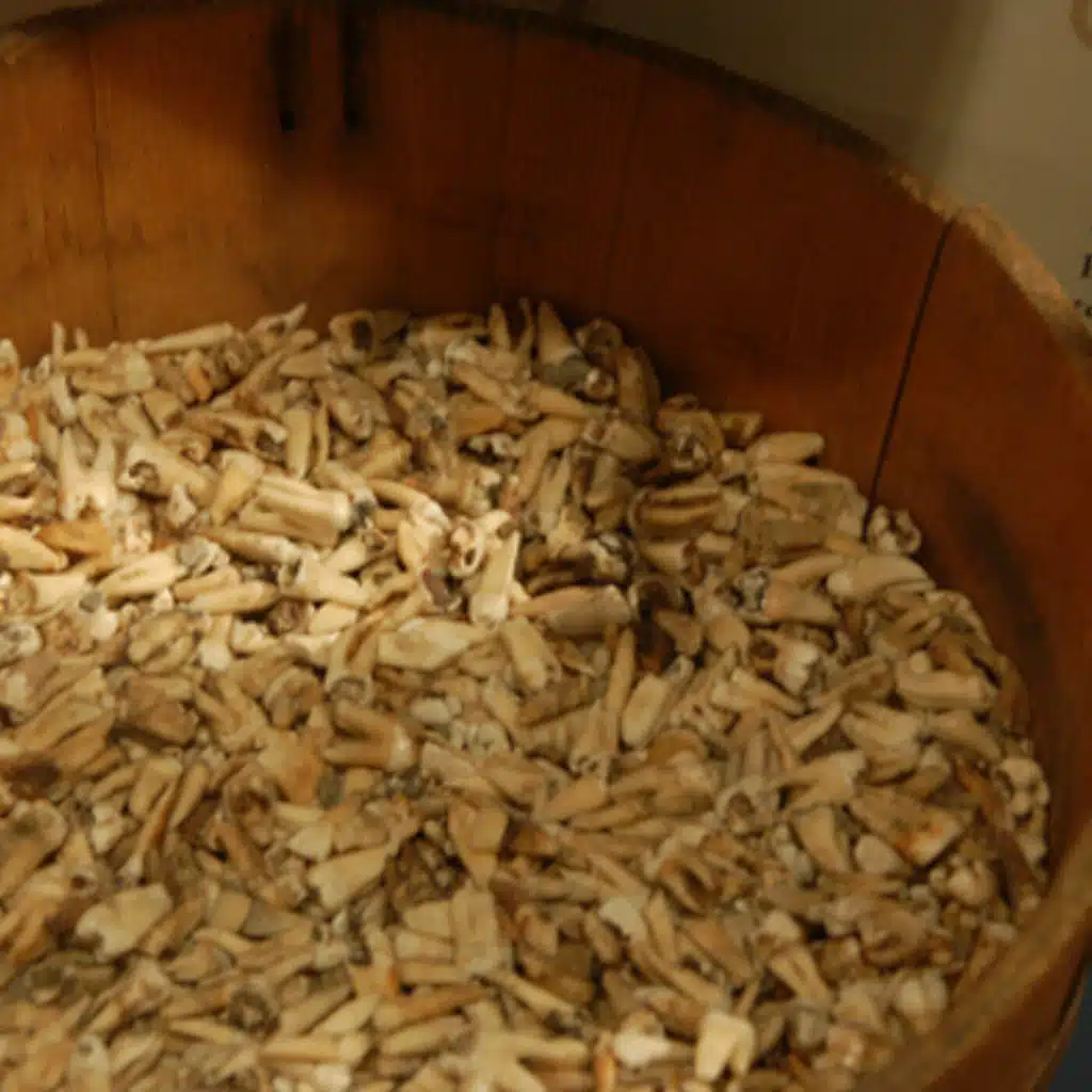 182 - Street Dentist Painless Parker