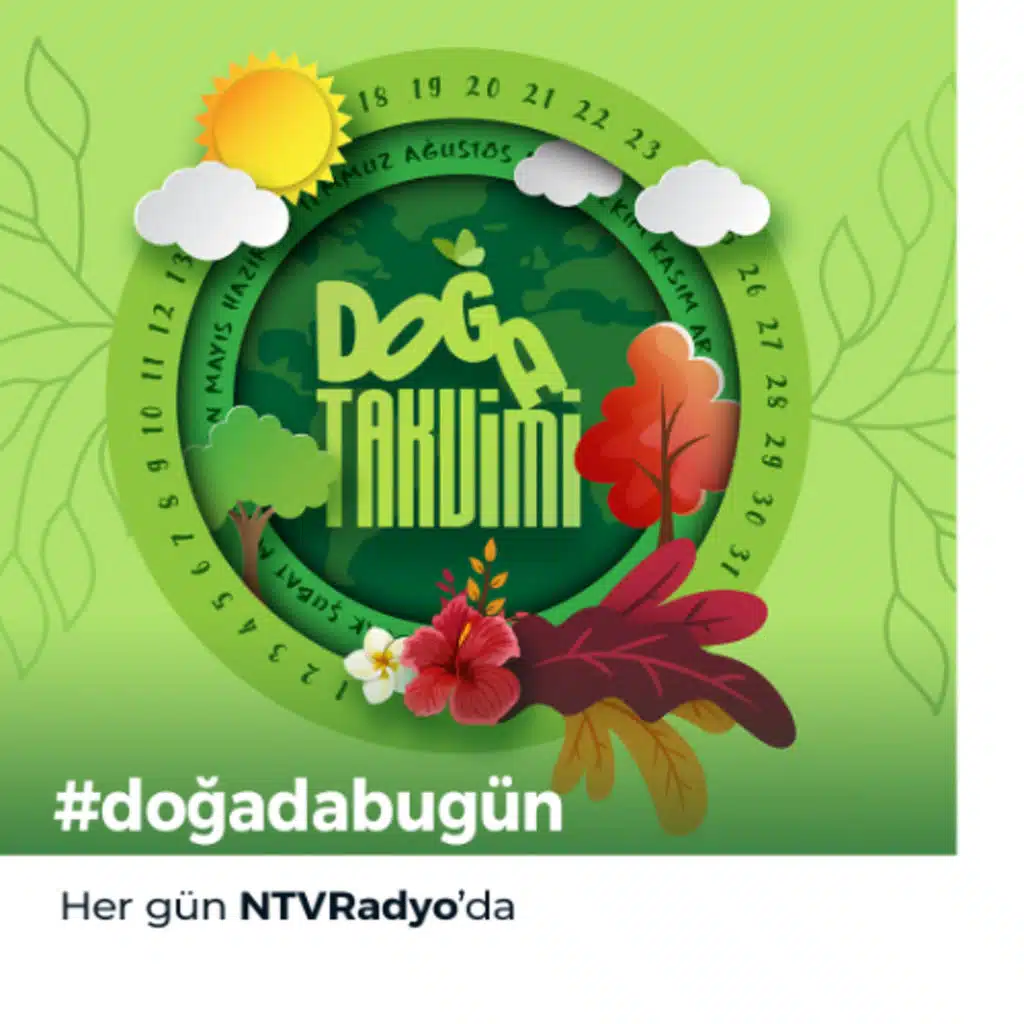 Doğa Takvimi - 23 Mart 2026 - Bugünü gözlemle, yarını koru