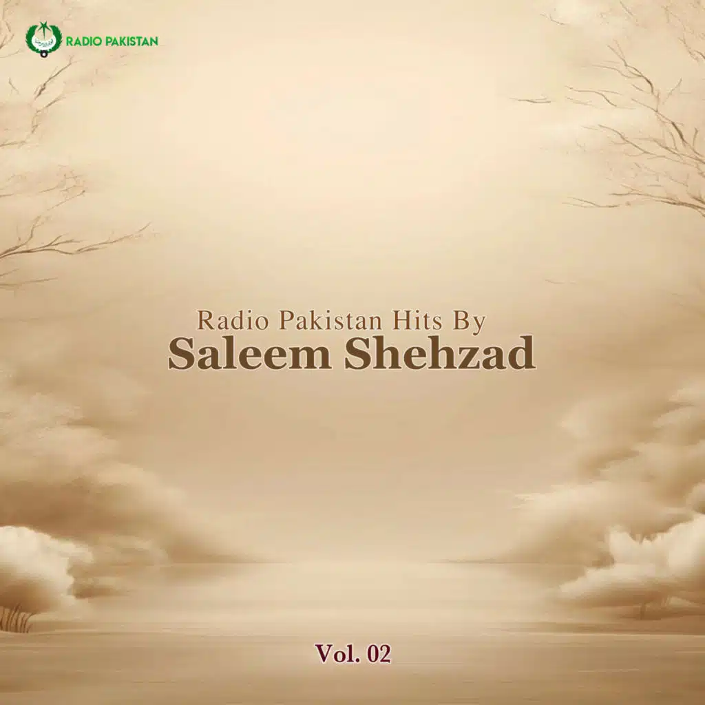 Saleem Shehzad