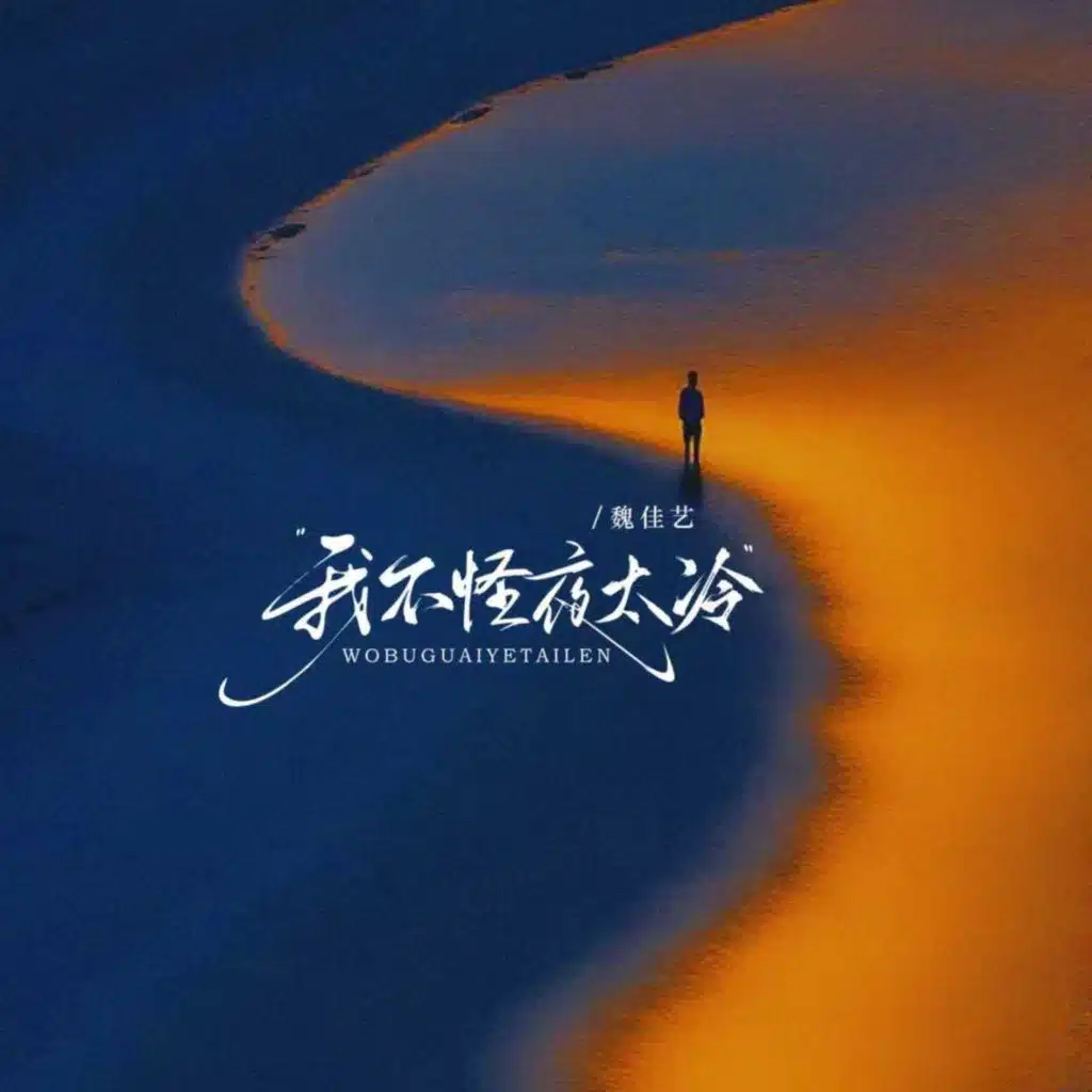 我不怪夜太冷 (一切随风)