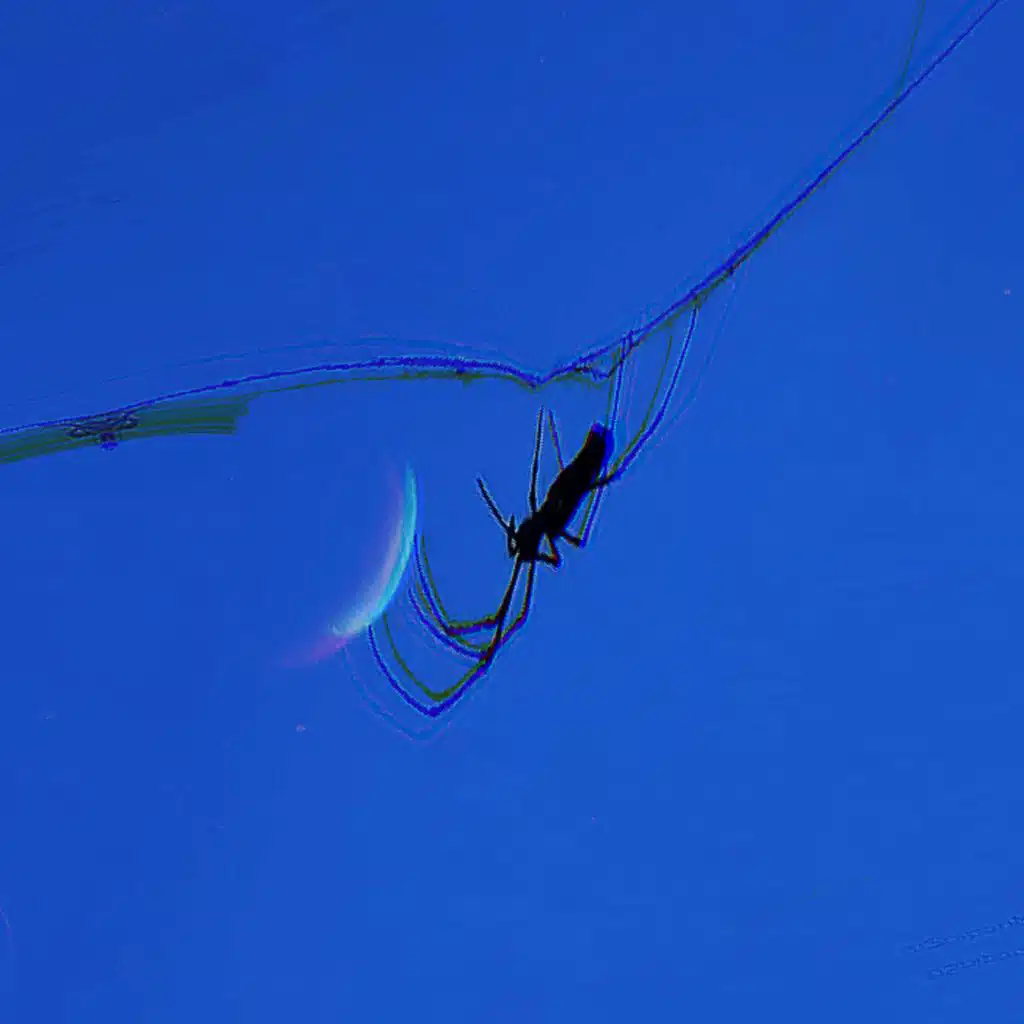 sunspider