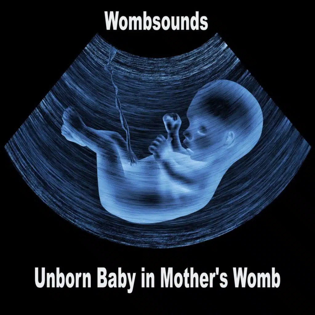 Wombsounds