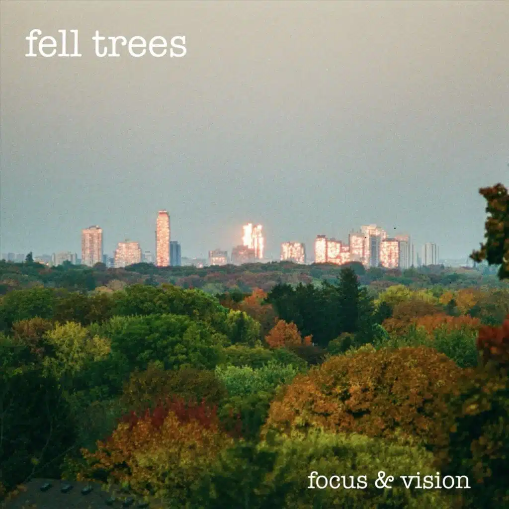 Focus & Vision