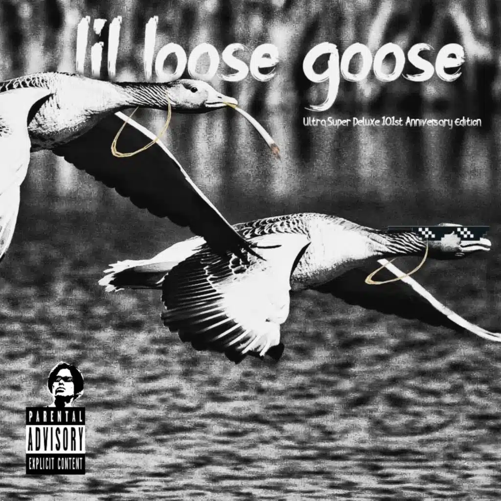 lil loose goose