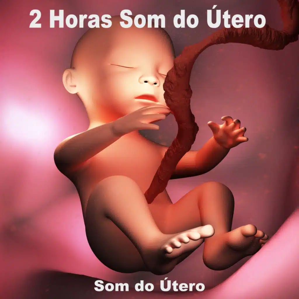 Som do Útero