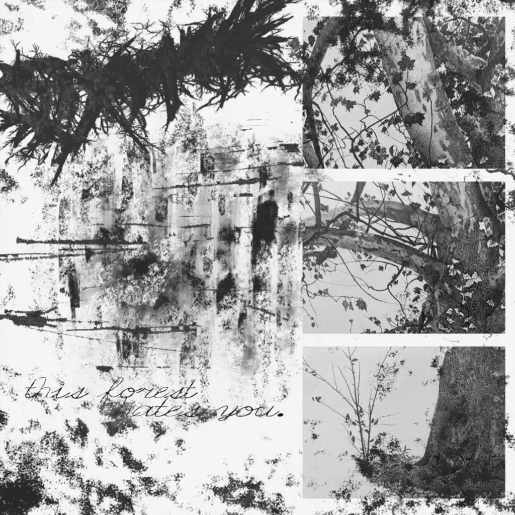 this forest hates you.