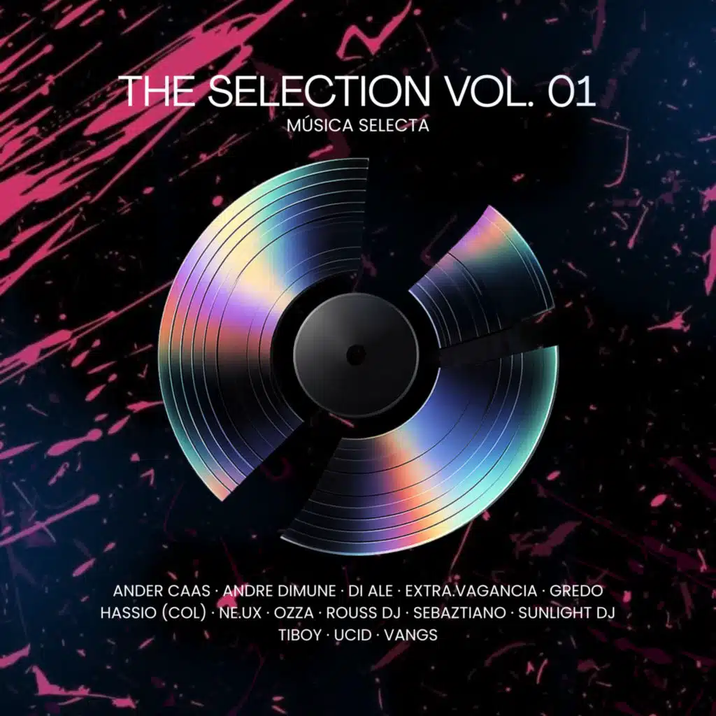 The Selection Vol. 01