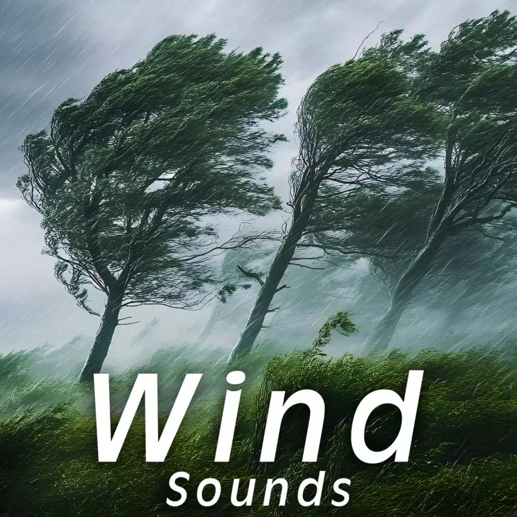 Wind Sounds