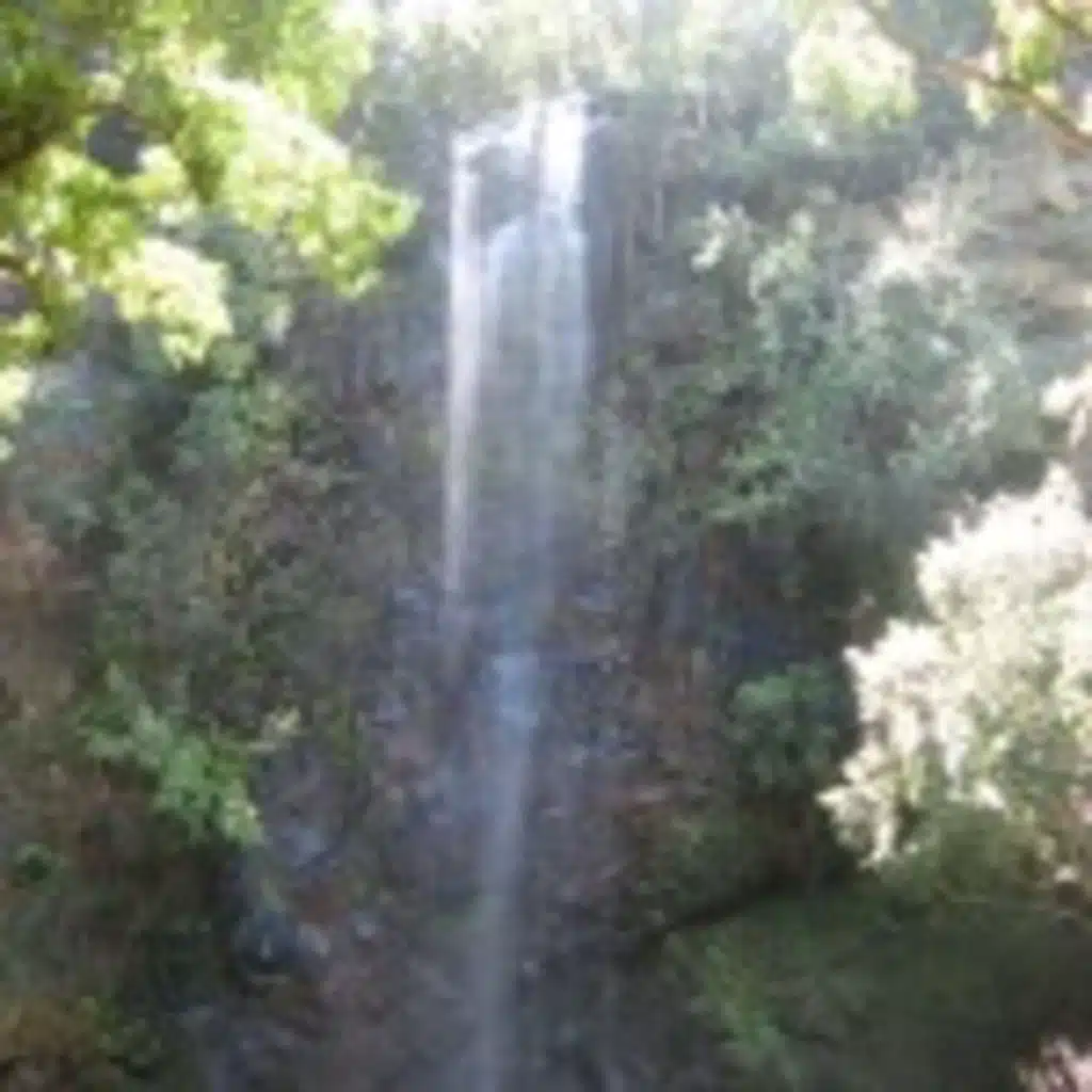 Kauai Podcast #10:  The Journey to Secret Falls