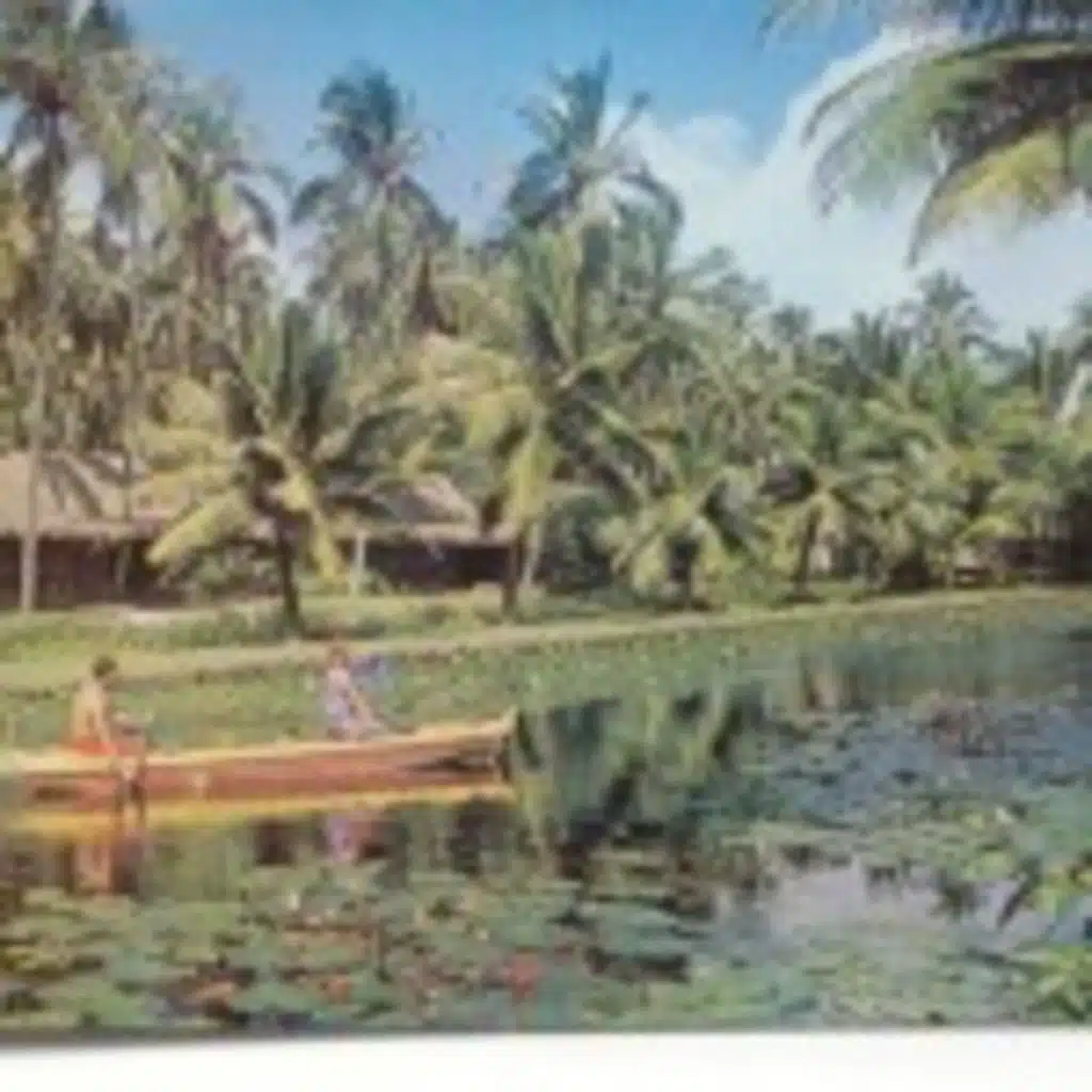 Kauai Podcast #12:  The Coco Palms Hotel, with David Penhallow