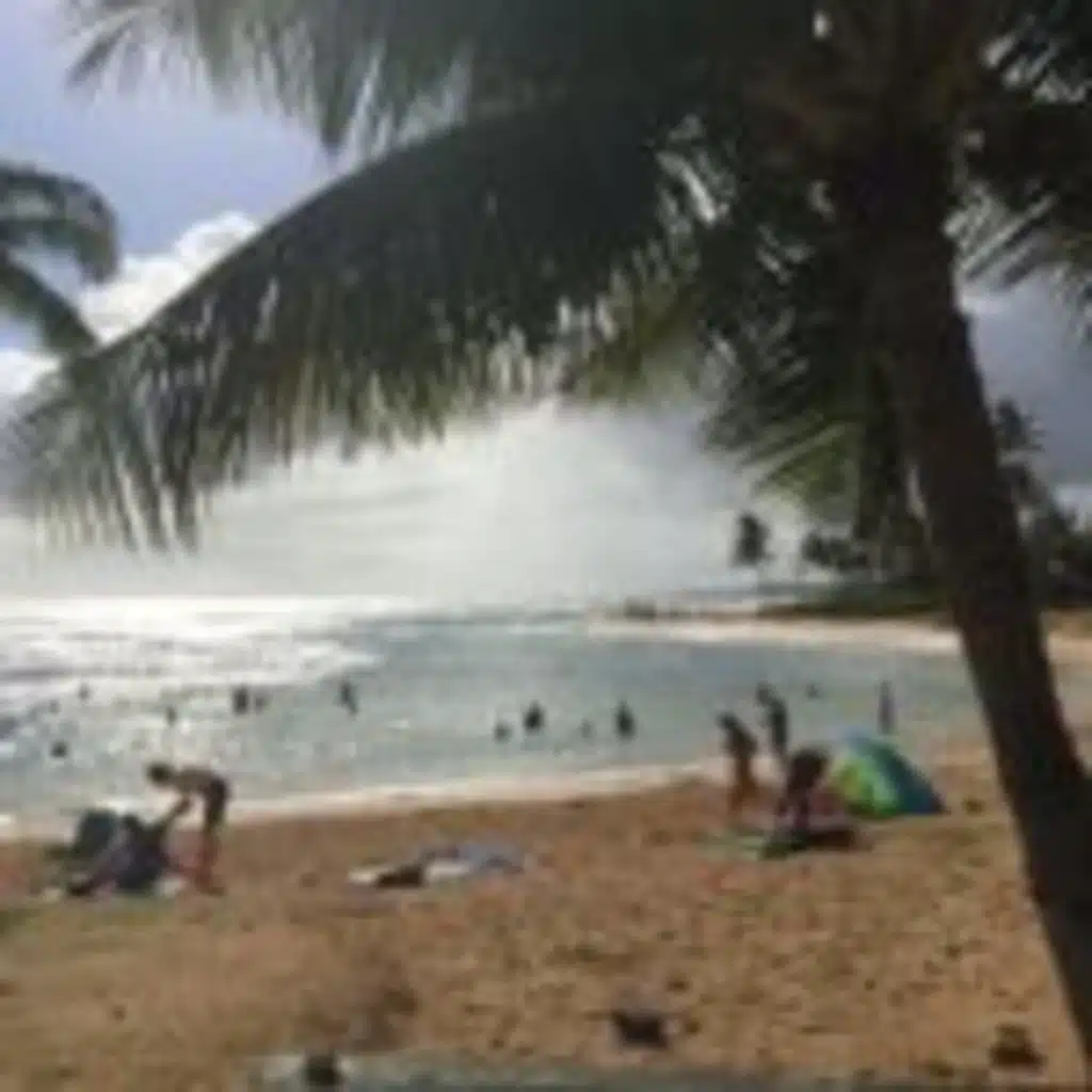Kauai Podcast #28:  Finding the Best Deals on Airfare, and the South Shore Gets Some Love