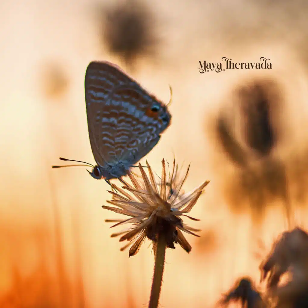 Maya Theravada
