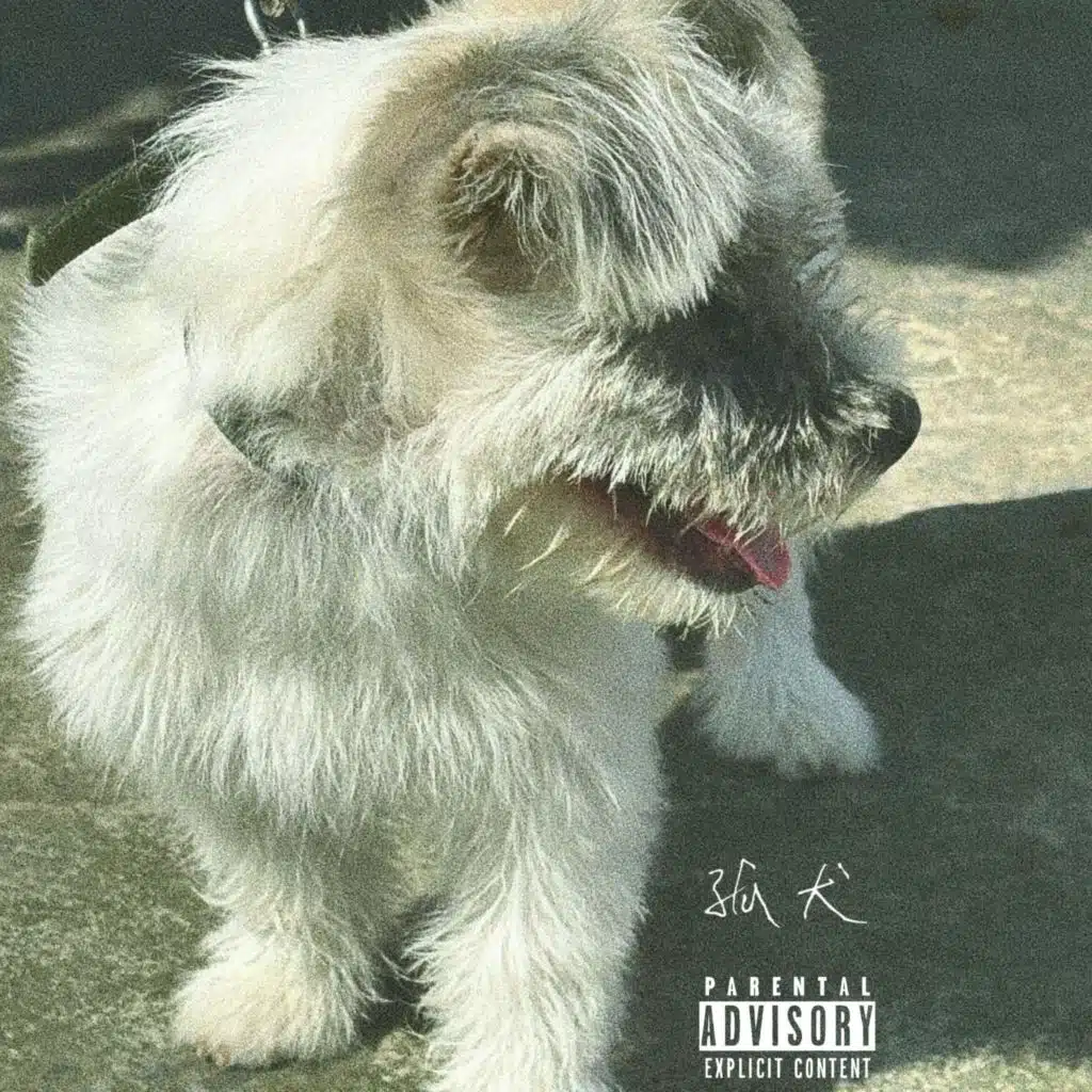 茉莉诗人