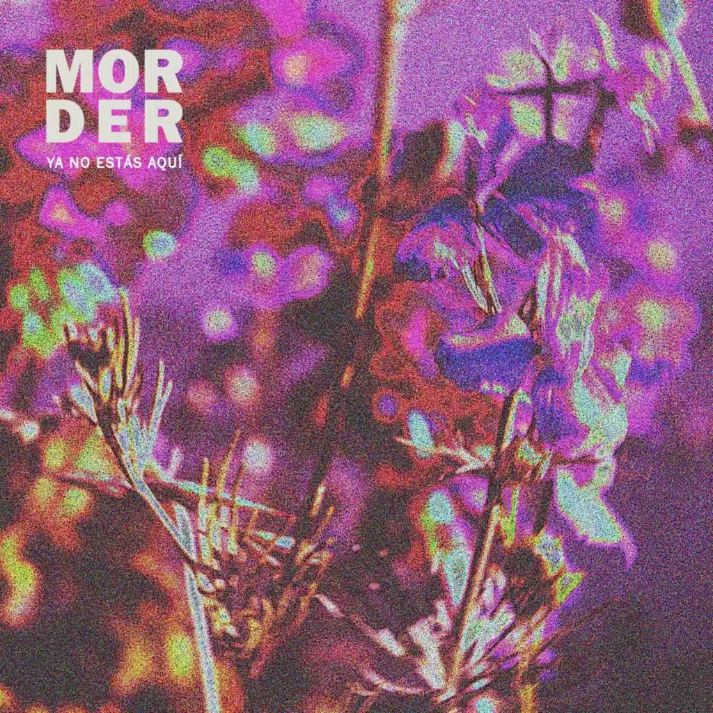 Mörder
