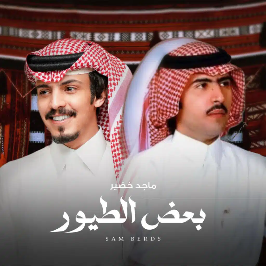 بعض الطيور