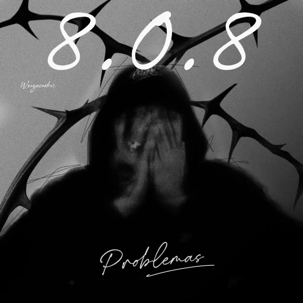 8.0.8 Problemas