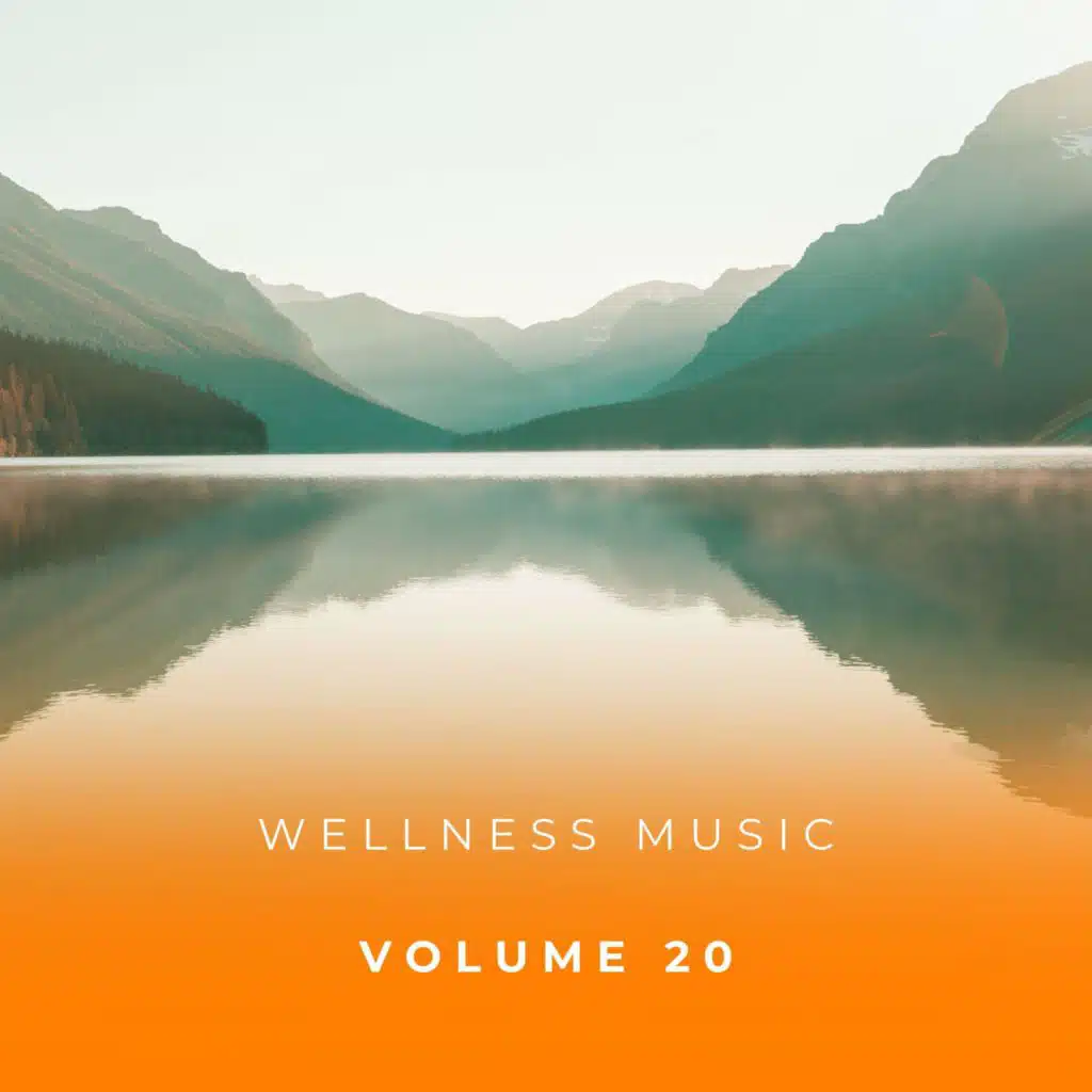 Wellness Music Vol. 20