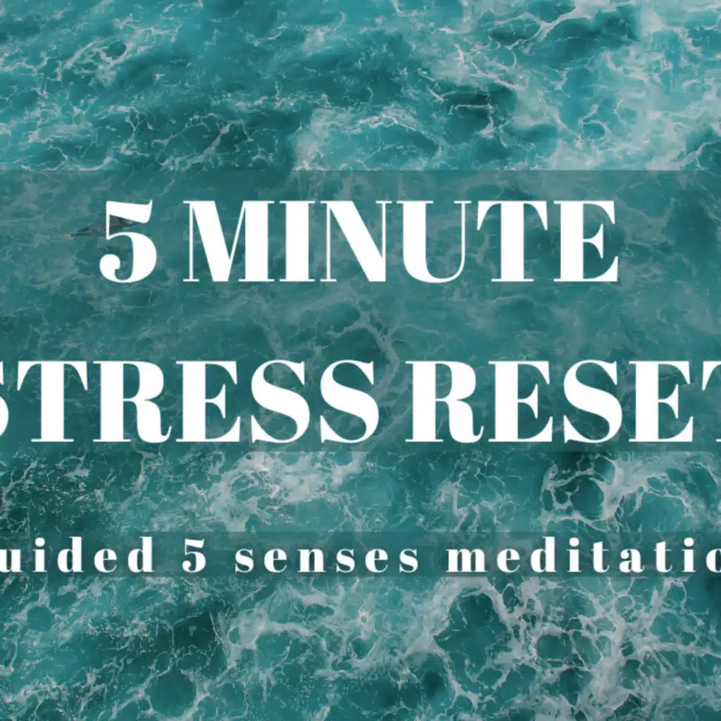 5.6: 5 Minute Stress Reset. Easy guided 5 Senses Meditation