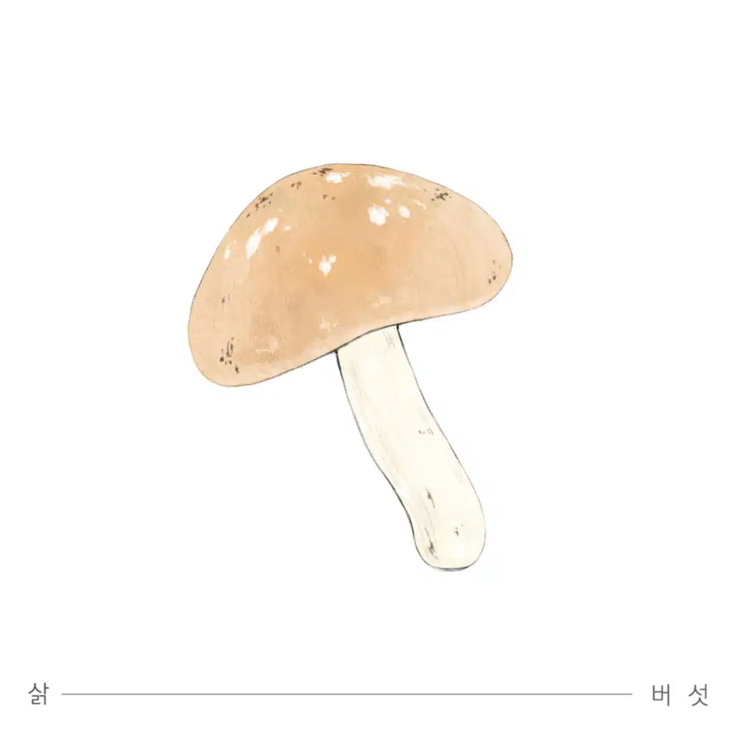 Mushroom
