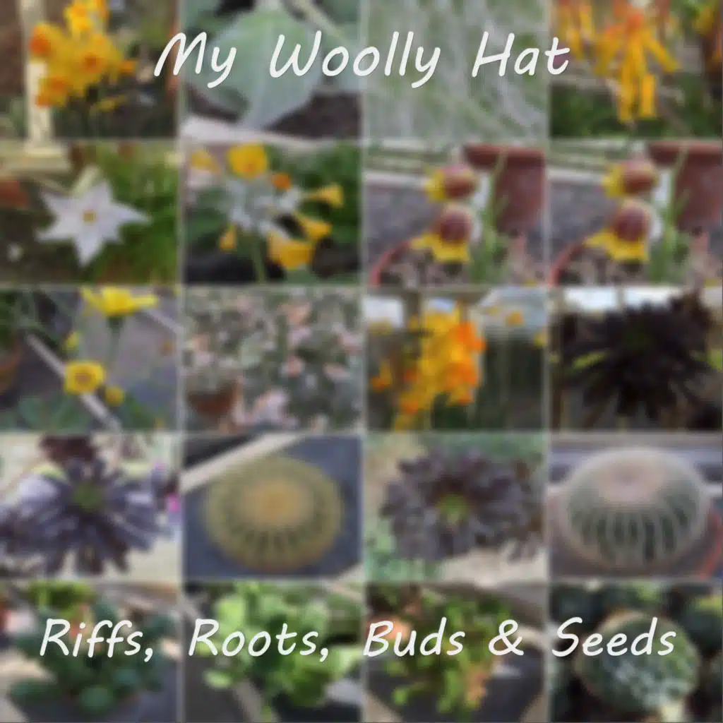 My Woolly Hat