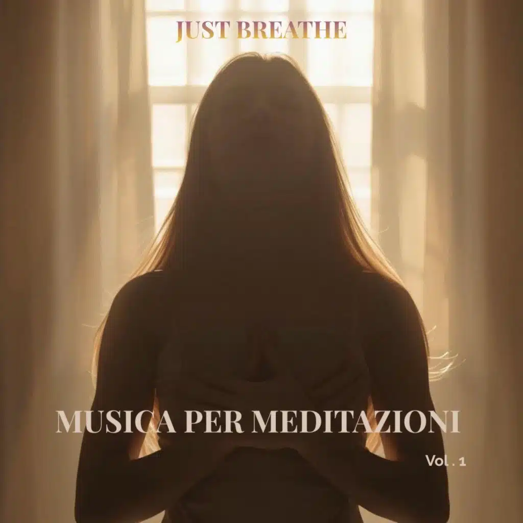 MUSICA PER MEDITAZIONI VOL. 1 (ORIGINAL)
