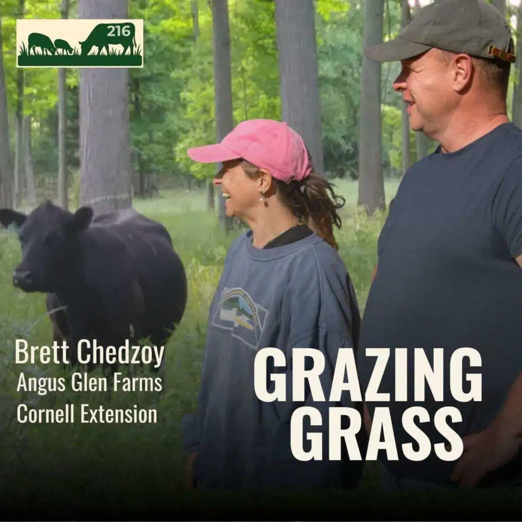 216 | Brett Chedzoy, New York | How to Turn Existing Woodland into Productive Grazing