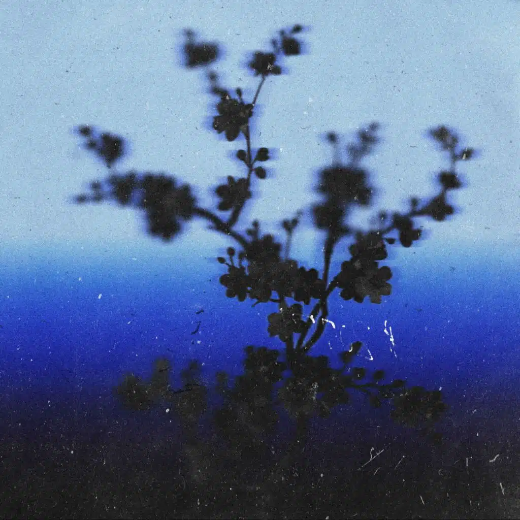 Blue Days