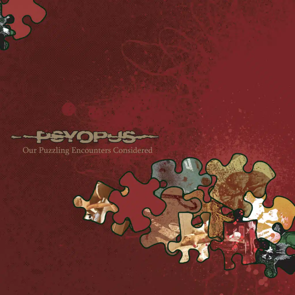 Our Puzzling Encounters Considered