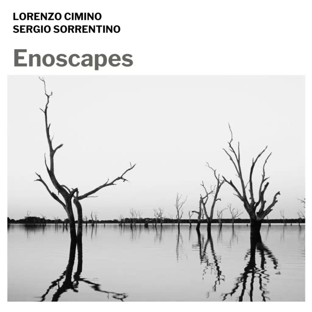 Enoscapes