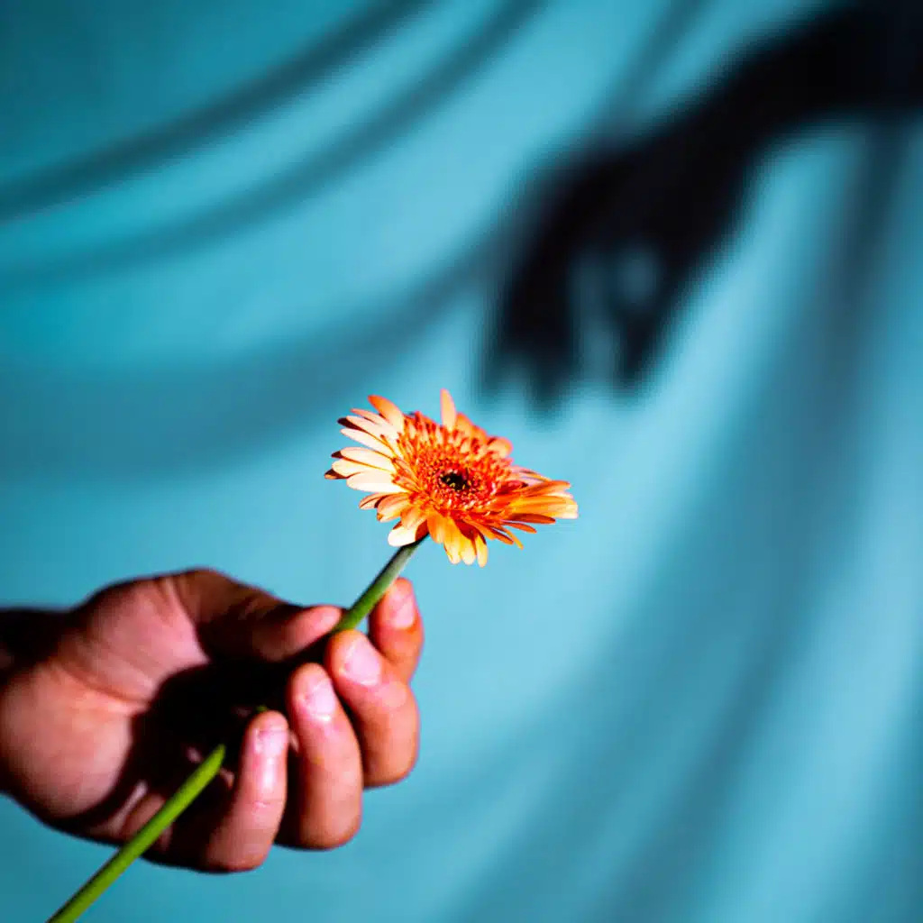 fleur sous bitume