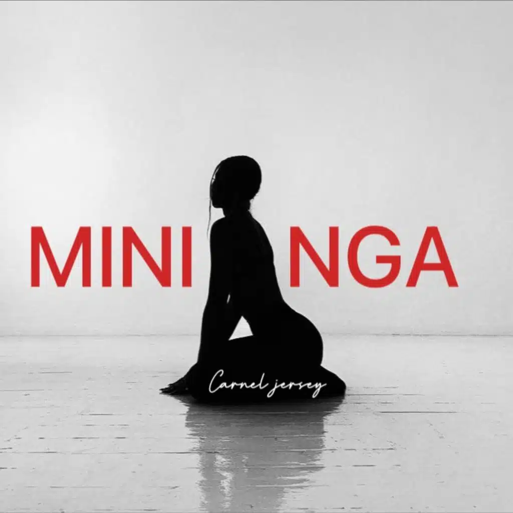 Mini Nga
