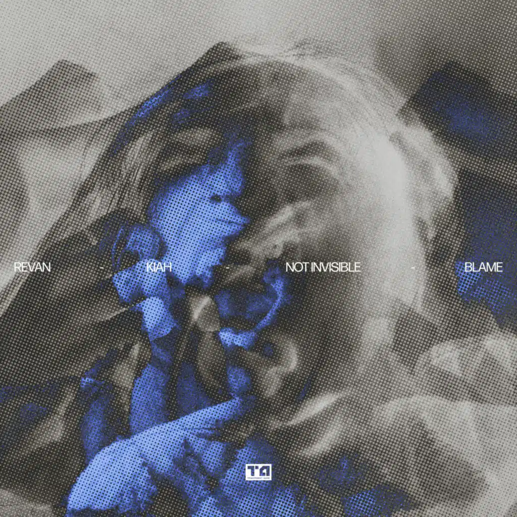 Not Invisible / Blame